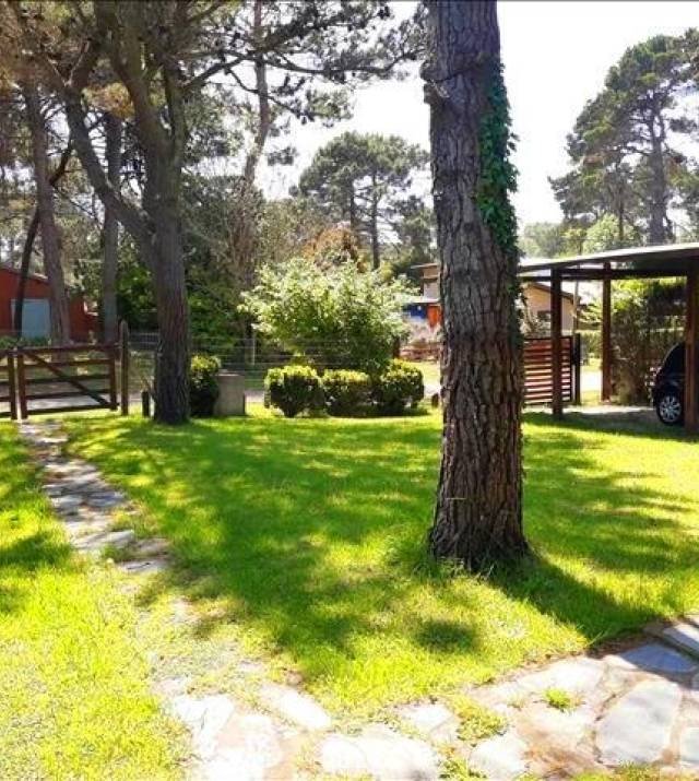 large-1636058399-IMG_20211030_122909869 640x480.jpg